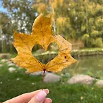 Samosiejka