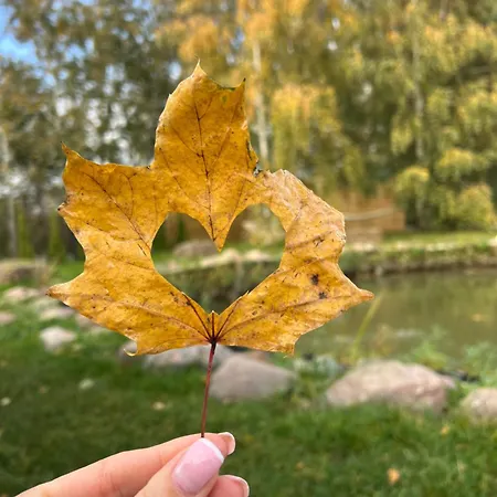 Samosiejka