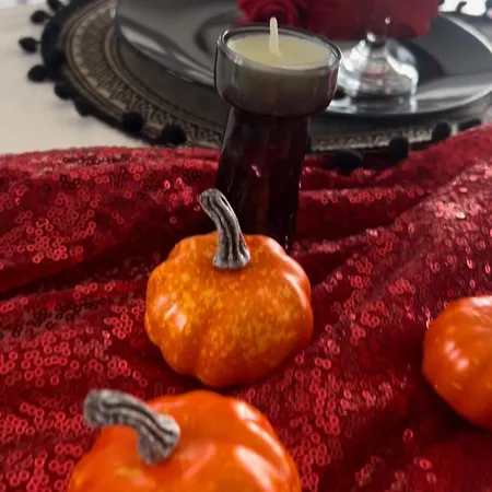 Samosiejka Campsite Slonsko