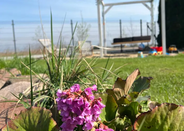 Campingplatz Samosiejka