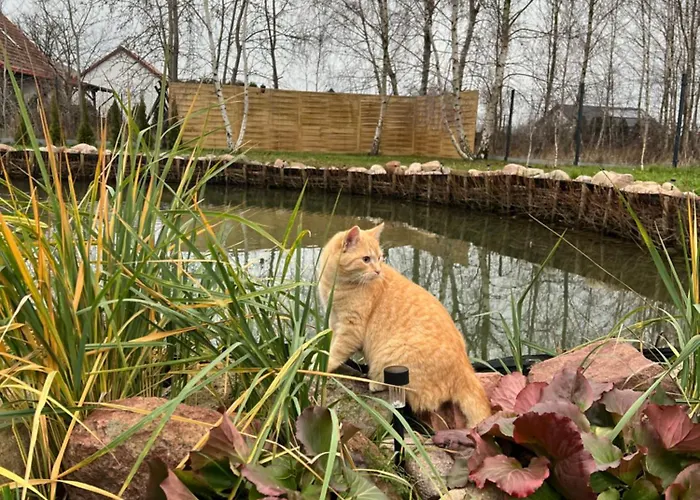 Samosiejka * Slonsko